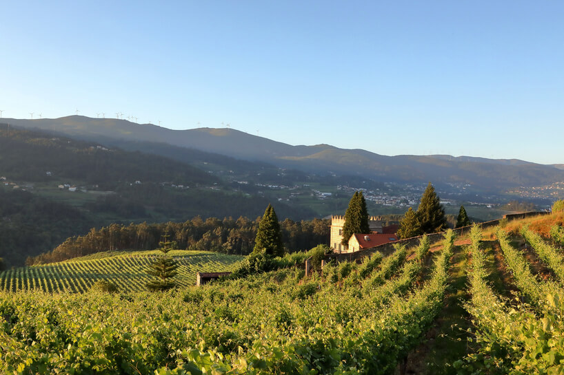 Bodegas Marqués de Vizhoja
