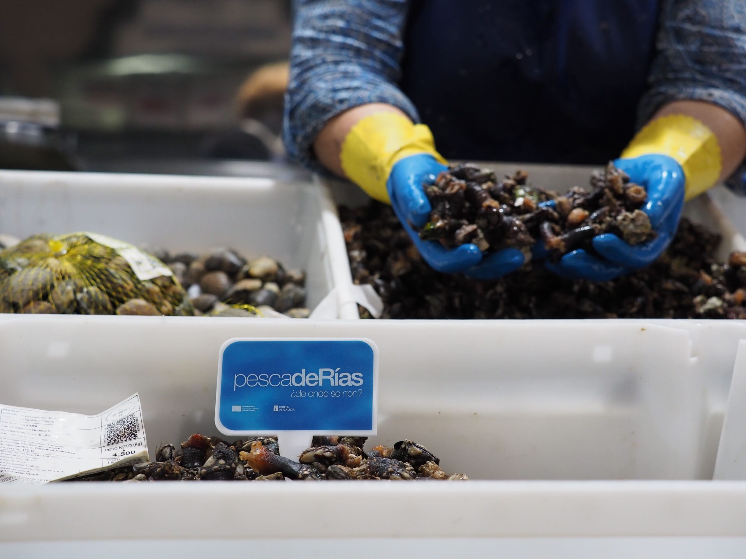 Mercado de Abastos. Mariscos Carlos